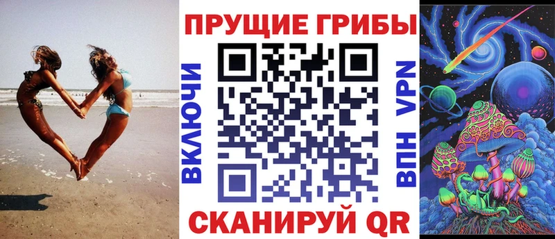 наркотики  Далматово  Галлюциногенные грибы Psilocybine cubensis 